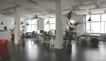 theme_placeholder